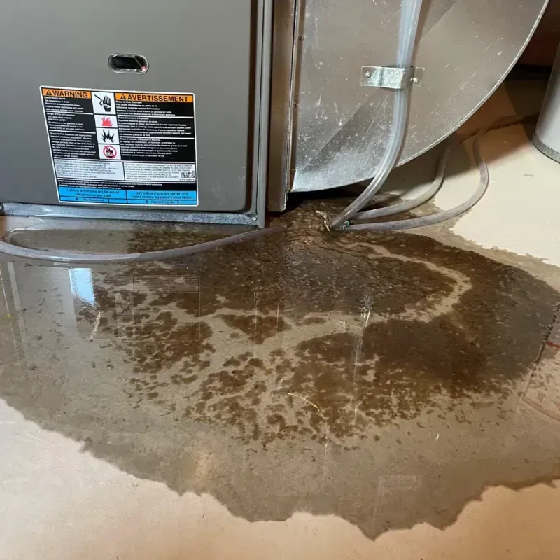 Appliance Leak Cleanup in Raleigh, NC